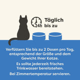 Applaws Comida húmeda natural para gatos Selección de gelatinas (paquete de 12 x 70 g)