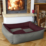 Camas, mascotas, perros, lugares para dormir y muebles.