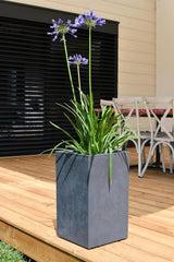 Maceta Basalt Up, Cuadrada, Alta, 36 L, Aspecto Cemento, Pared Lisa, Depósito de Agua, 29,5 x 29,5 x 49,5 cm, Gris Antracita