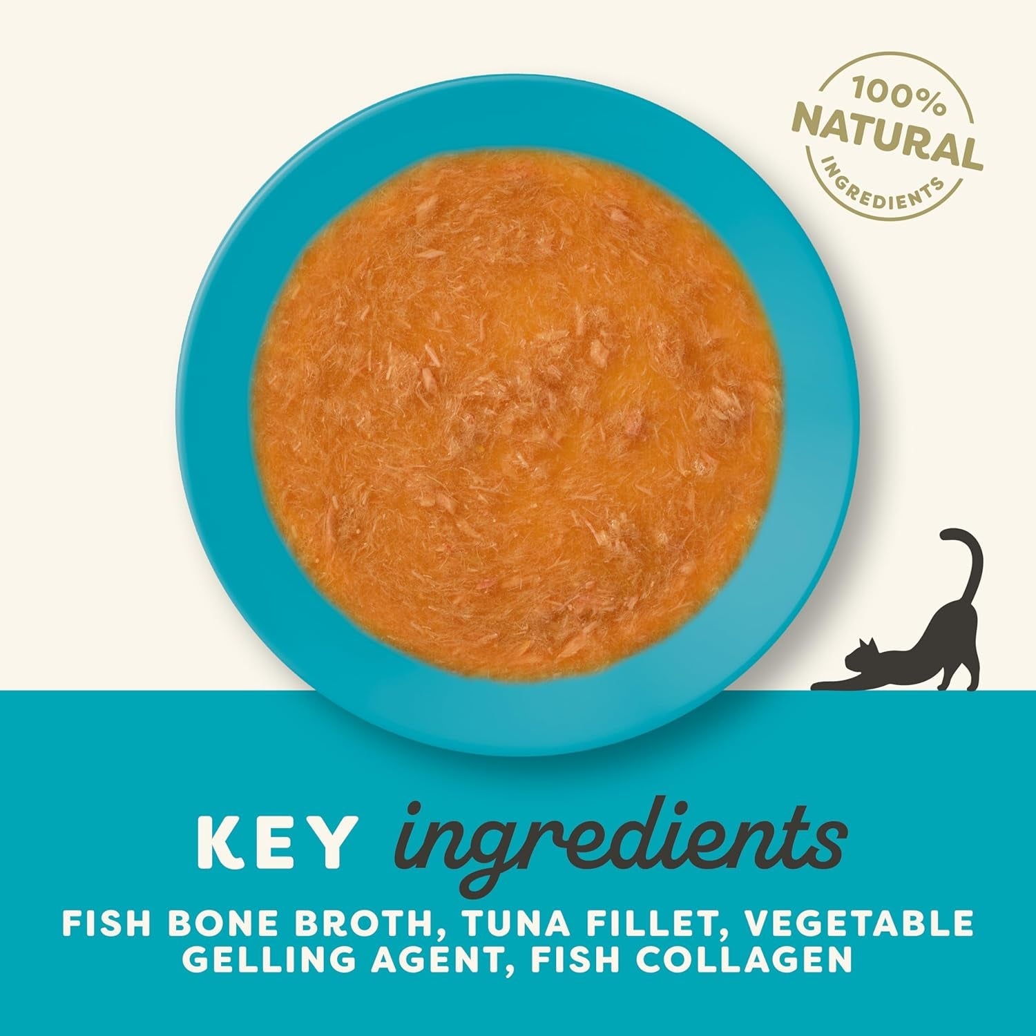 Applaws Comida húmeda para gatos 100% natural - Sopa de huesos de pescado con atún, 12 sobres filtrantes x 85 g