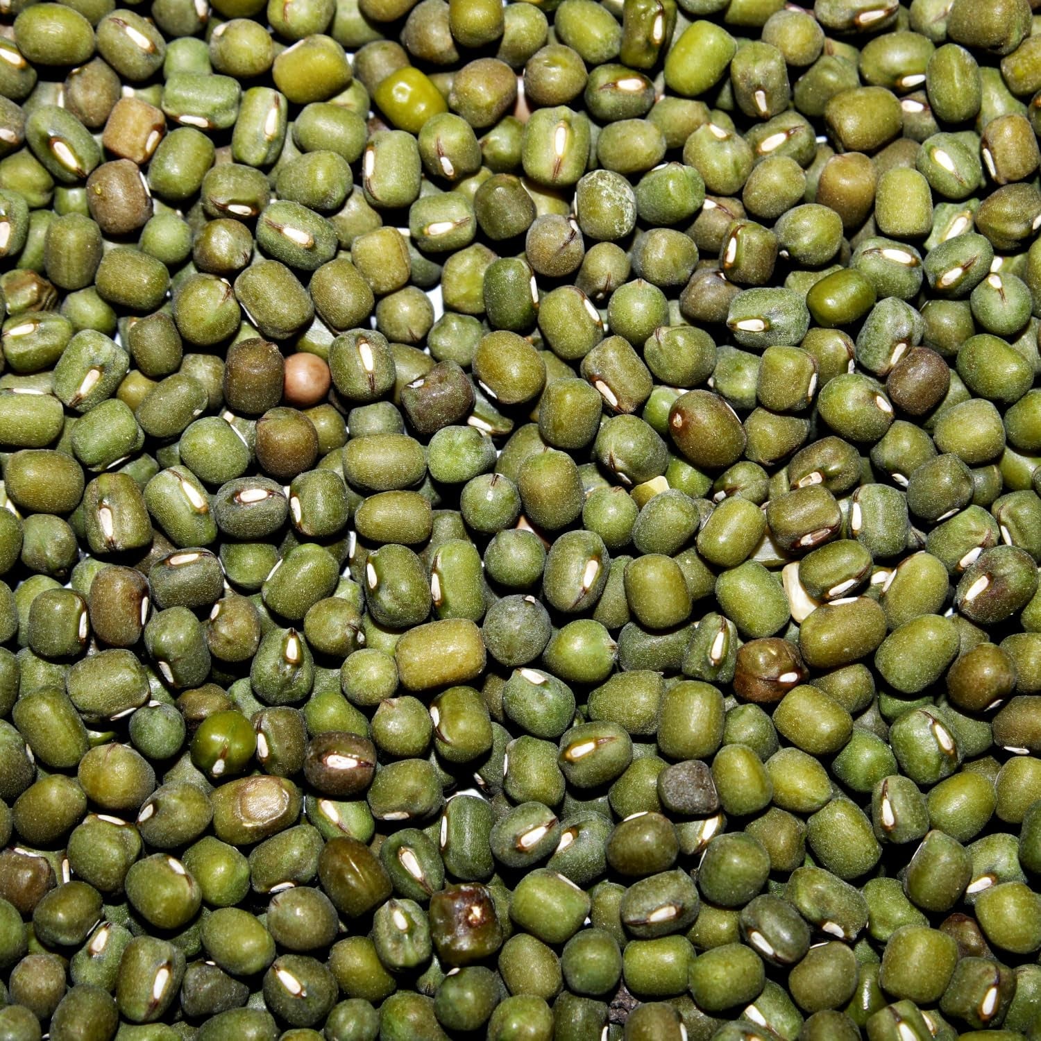 AFROASE - Judías verdes mungo - 1 x 1 kg (Paquete de 2)