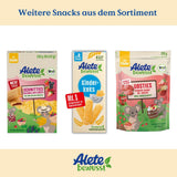 Alete Empanadas Ecológicas con Cereales Integrales y Manzana 6 x 22 g
