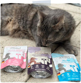 MjAMjAM - Comida húmeda premium para gatos - Deliciosa mezcla Pack III Comidas para tu gato Paquete de 6 (6 x 200 g) Sin cereales con carne extra