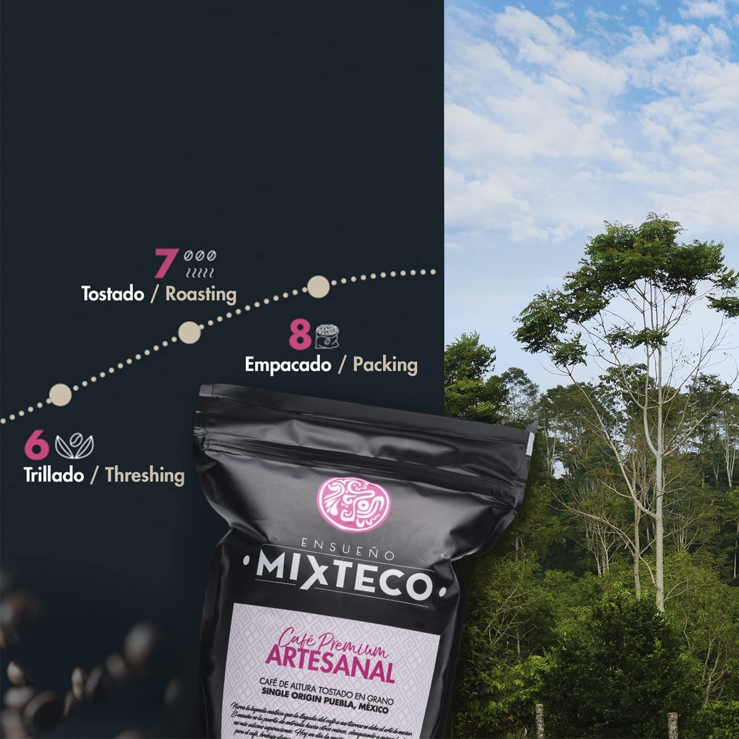 Granos de café arábica tostados | 500 g con toques de cacao y almendras | De un tostador de café tradicional | sabor delicado