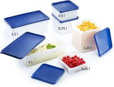 Westmark 4 recipientes para conservar alimentos y congelar, incluida tapa, capacidad: 0,25 l cada uno, apilables, plástico, Trio, color: transparente/azul, 25042270 Cajas para almacenar alimentos Naty Shop