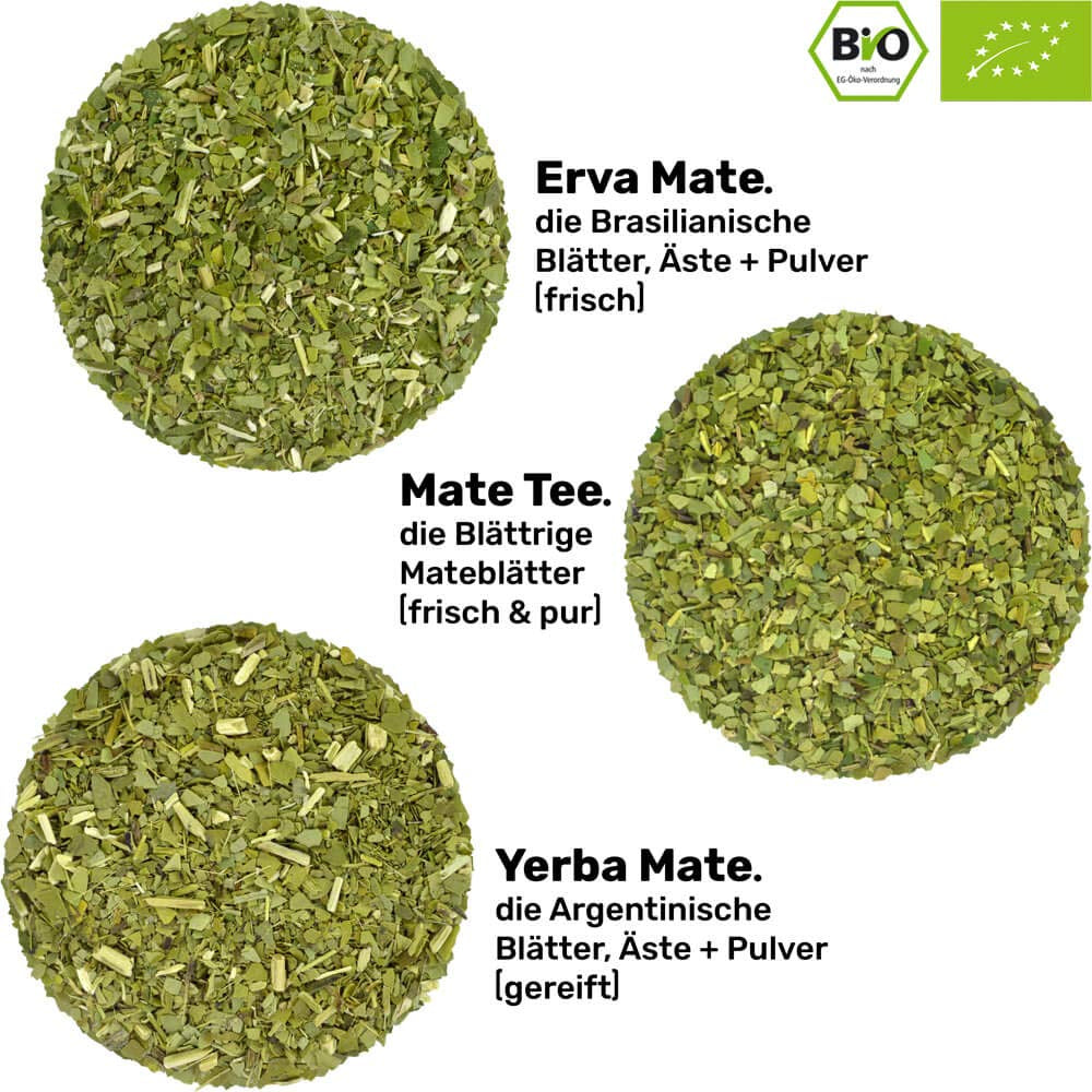 Juego de Té Mate Bio ● 3 Surtidos de Mate + Taza de Mate de Acero Inoxidable de Doble Pared + Bombilla + Instrucciones de Preparación (Negro)