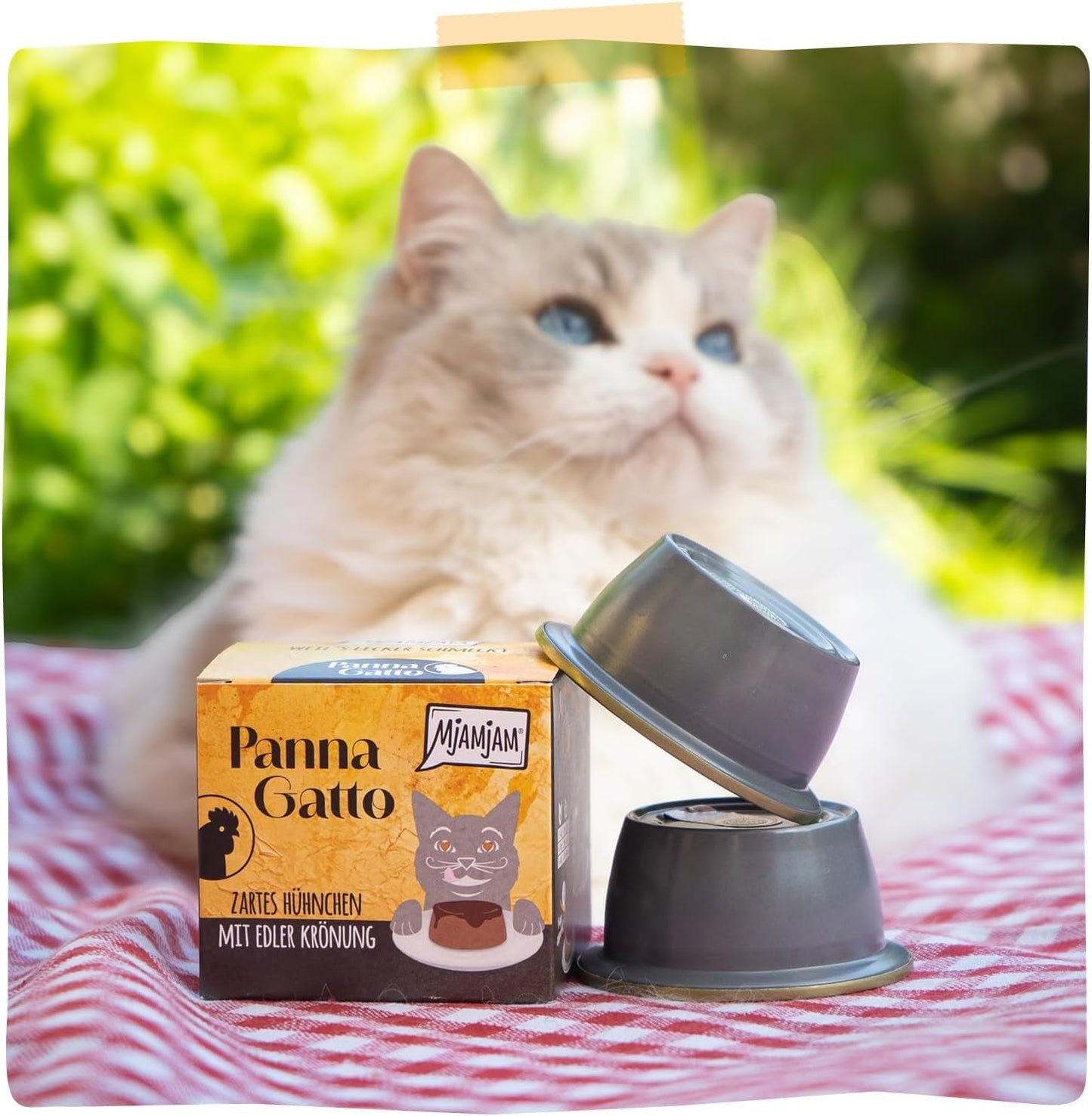 MjAMjAM - Comida húmeda premium para gatos - Panna Gatto - pollo tierno con un aderezo noble, paquete de 12 (2x80 g), sin cereales