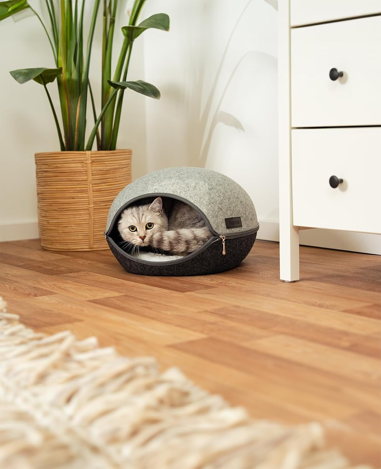 Mantas y Muebles, Mascotas, Casas y Cuevas, Gatos, Camas para gatos, Gatos - camas, colchones