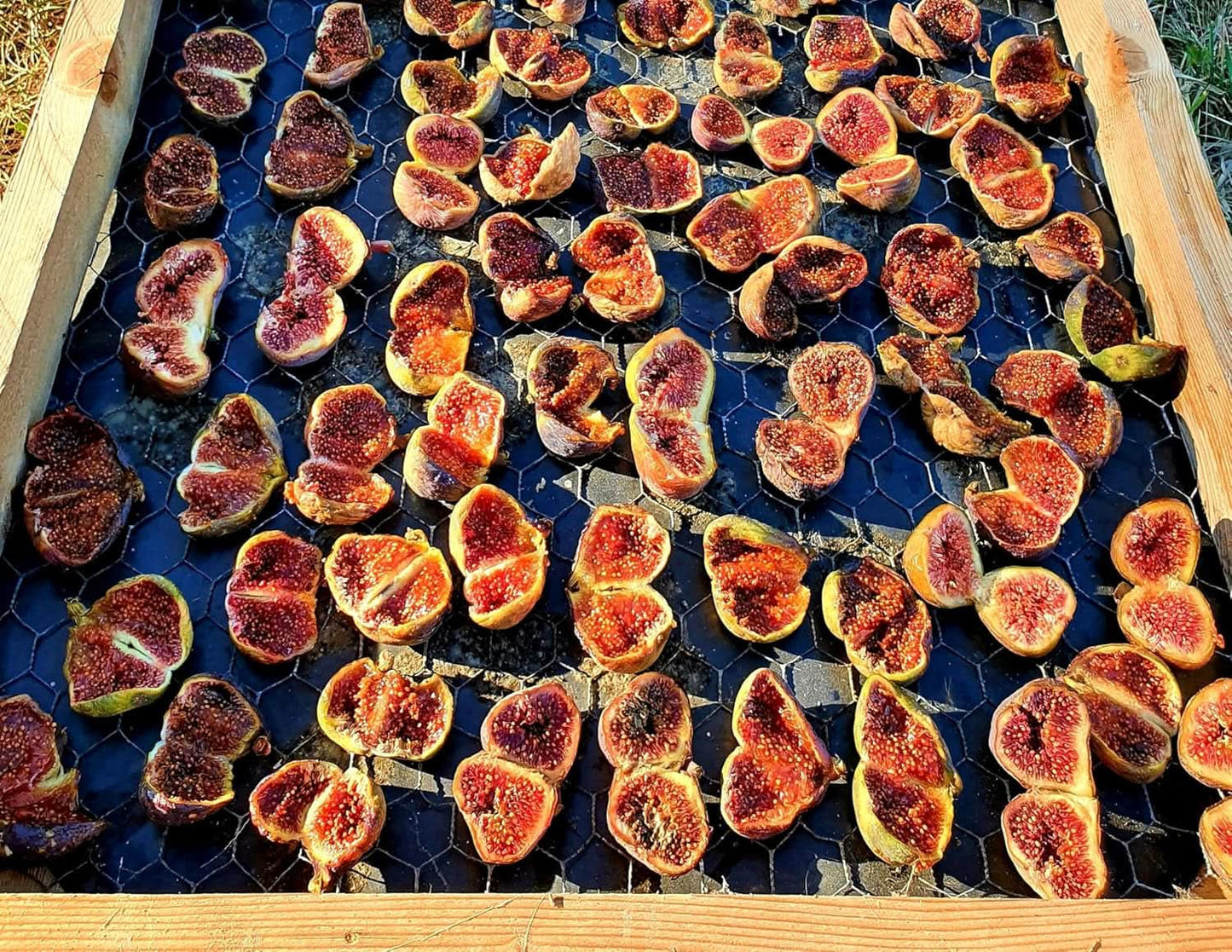 Mundo Feliz Higos secos de agricultura ecológica, 2 x 500 gramos Naty Shop productos deshidratados