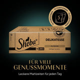 SHEBA Comida húmeda para gatos - 72 sobres x 85g - Variedad de ave en gelatina - Comida húmeda para gatos - 1 paquete grande