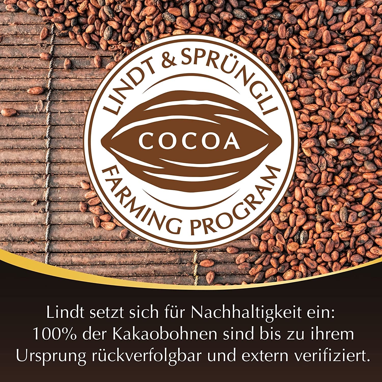 Palitos de chocolate negro Lindt Chocolate LINDOR | 24 barras de chocolate x 37g | Con un suave relleno de chocolate negro que se deshace en la boca con un 60% de cacao | Regalo de chocolate | Regalo de chocolate | paquete a granel