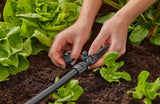 Pieza en T Gardena Micro-Drip-System para boquillas pulverizadoras: Conexión entre tubos de 13 mm y una boquilla pulverizadora, riego automático de plantas, tecnología de conexión rápida y sencilla, reutilizable (13206-20)
