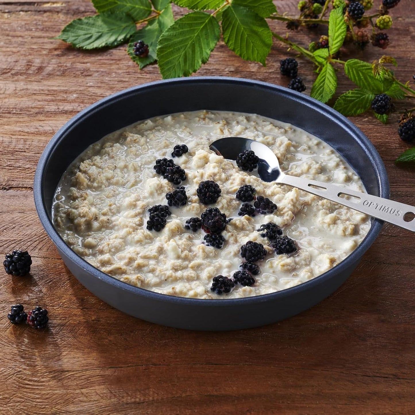 Trek'n Eat Protein Porridge: desayuno rico en proteínas para el aire libre | Mesa liofilizada para camping, senderismo y expediciones | Relleno, rápido de preparar, ideal para viajar