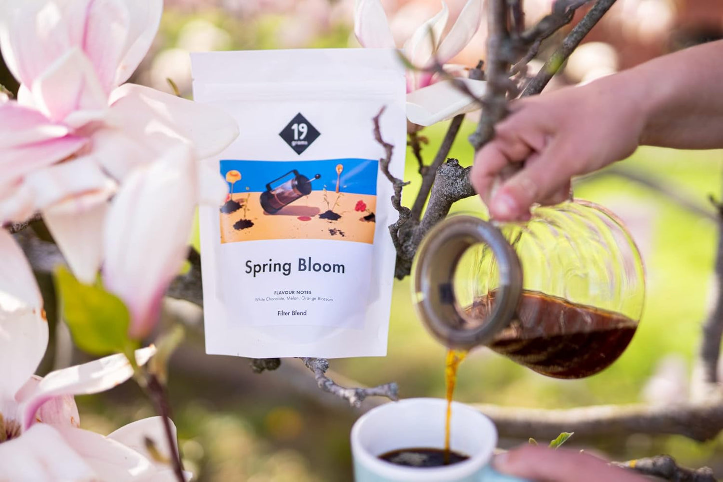 Filtro de floración de primavera | 250 g de cereales integrales | justo y sostenible | recién frito | granos de café 100% Arábica | café especial | 19 gramos Café Roastery…