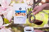Filtro de floración de primavera | 250 g de cereales integrales | justo y sostenible | recién frito | granos de café 100% Arábica | café especial | 19 gramos Café Roastery…