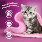 Whiskas Junior Classic comida húmeda para gatos, 13 x 4 x 85 g