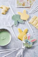 HEITMANN KREATIV - Piruletas de Chocolate - Con Tintes Herbales en Polvo - Amarillo y Verde - Kit DIY - Pascua