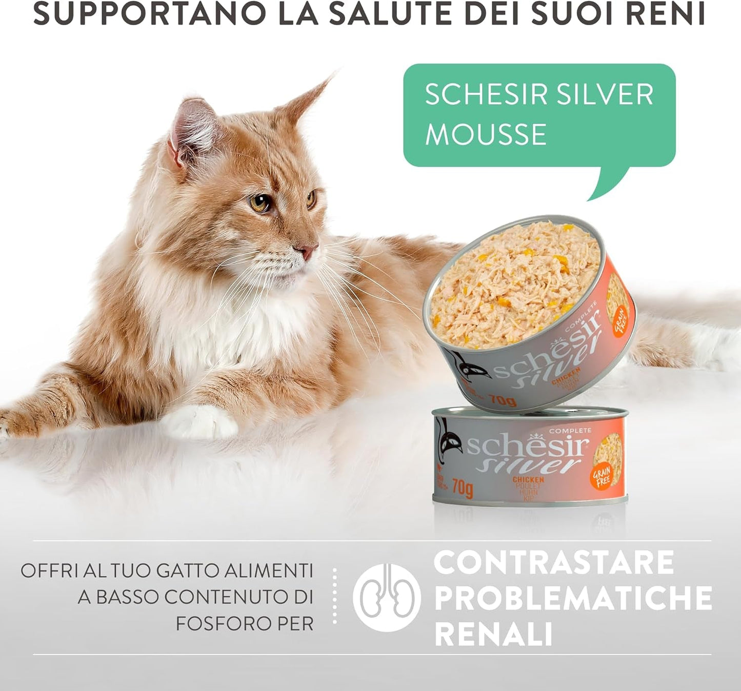Silver Pollo con Mousse de Pato y Filetes, Alimento Húmedo Completo para Gatos Mayores, Sin Cereales, Apoyo Inmunológico, Fuente de Humedad, 12 x 70 g