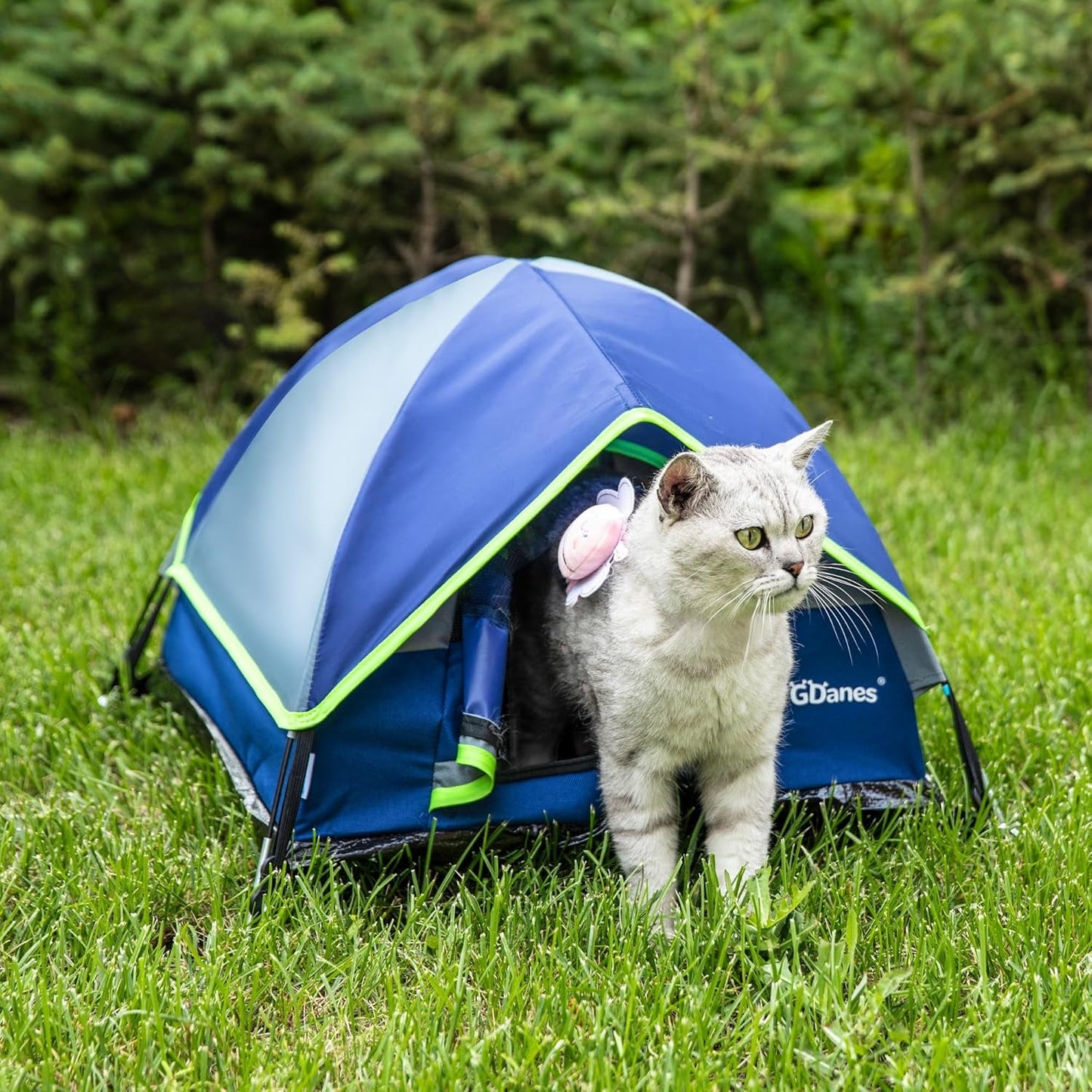 Mantas y Muebles, Mascotas, Cuevas y Casas, Gatos, Camas para Gatos, Camas para Gatos, Colchones