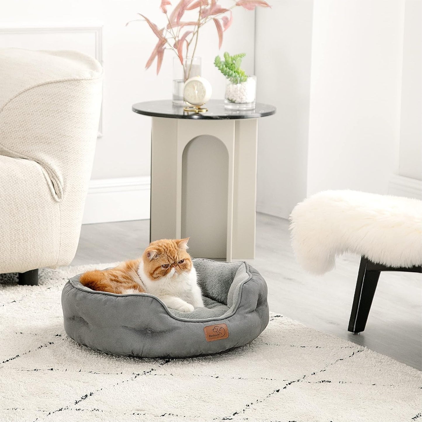 Camas y Sofás, Mantas y Muebles, Mascotas, Gatos, Camas para gatos, Gatos - camas, colchones