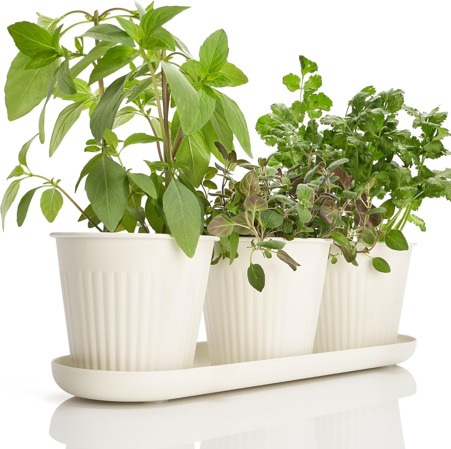 Juego de 3 hermosas macetas de jardín con hierbas, perfectas para cualquier alféizar de ventana o mostrador de la cocina, un moderno juego de jardineras decorativas que incluye bandeja y...