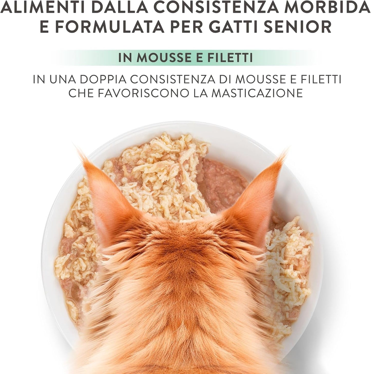 Silver Pollo con Mousse de Pato y Filetes, Alimento Húmedo Completo para Gatos Mayores, Sin Cereales, Apoyo Inmunológico, Fuente de Humedad, 12 x 70 g