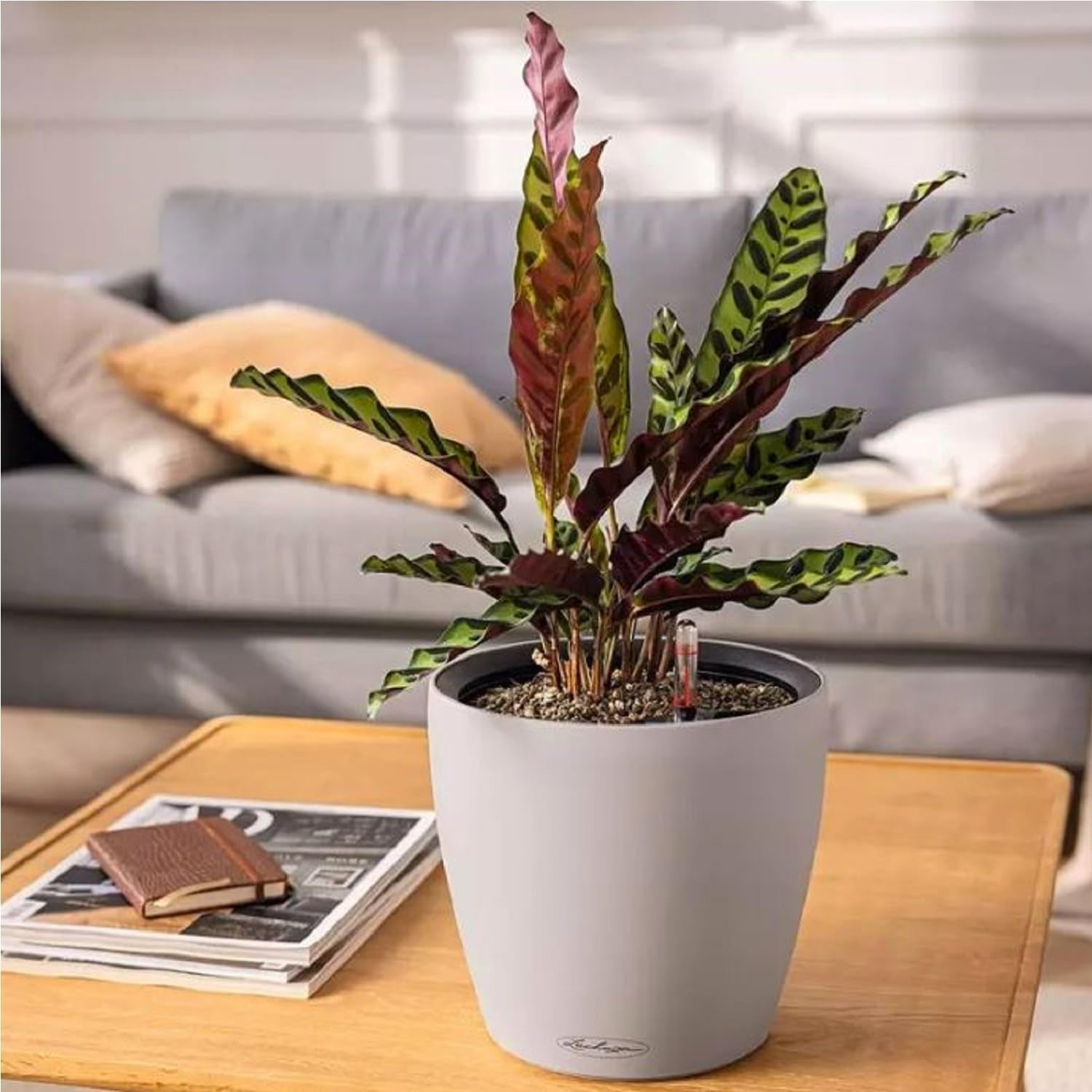 Jardinera LECHUZA Classico Color LS gris pizarra con sistema de riego |Ø 35 × 32 cm|14281