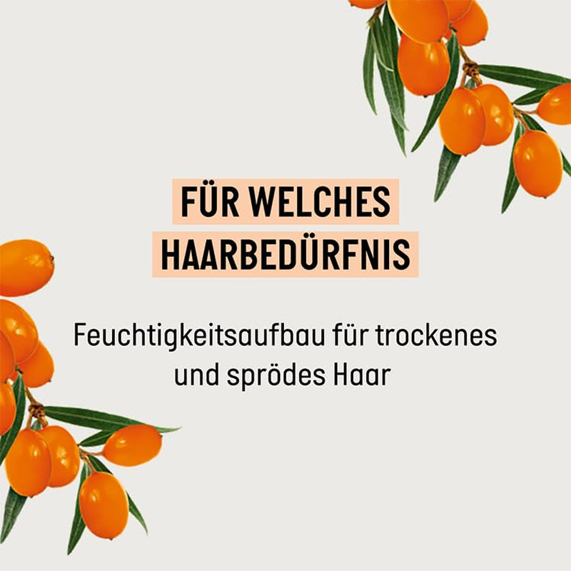 Guhl Champú Fresh & Fruity - Contenido: 250 Ml - Tipo de cabello: Normal Ducha y baño Guhl