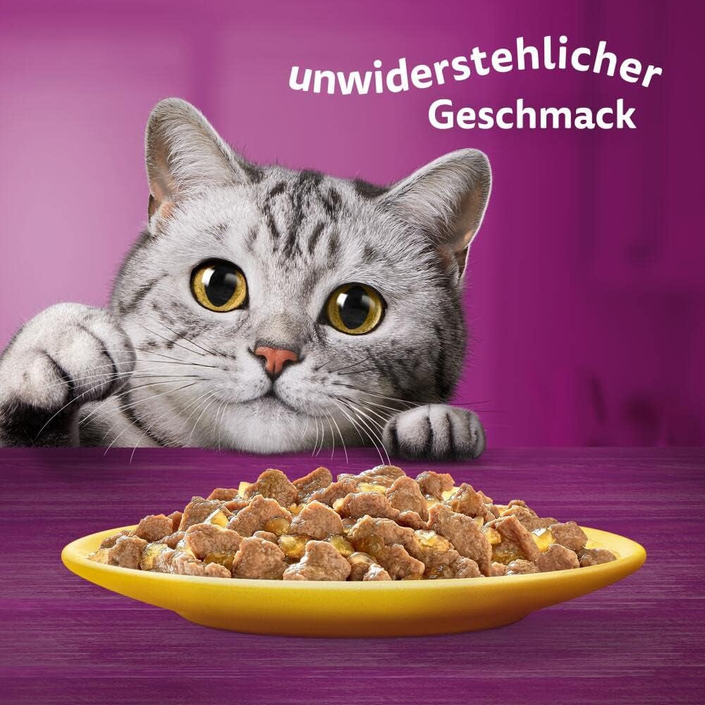 Whiskas 1+ comida húmeda para gatos con pollo en gelatina, 28x85g (1 paquete) - Comida húmeda de alta calidad para gatos adultos en sobres de 28 porciones