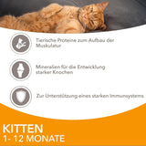 IAMS Delights Kitten Nassfutter - Multipack Katzenfutter mit Hunn in Sauce, Futter de alta calidad para niños pequeños de 1 a 12 meses, 12 x 85 g