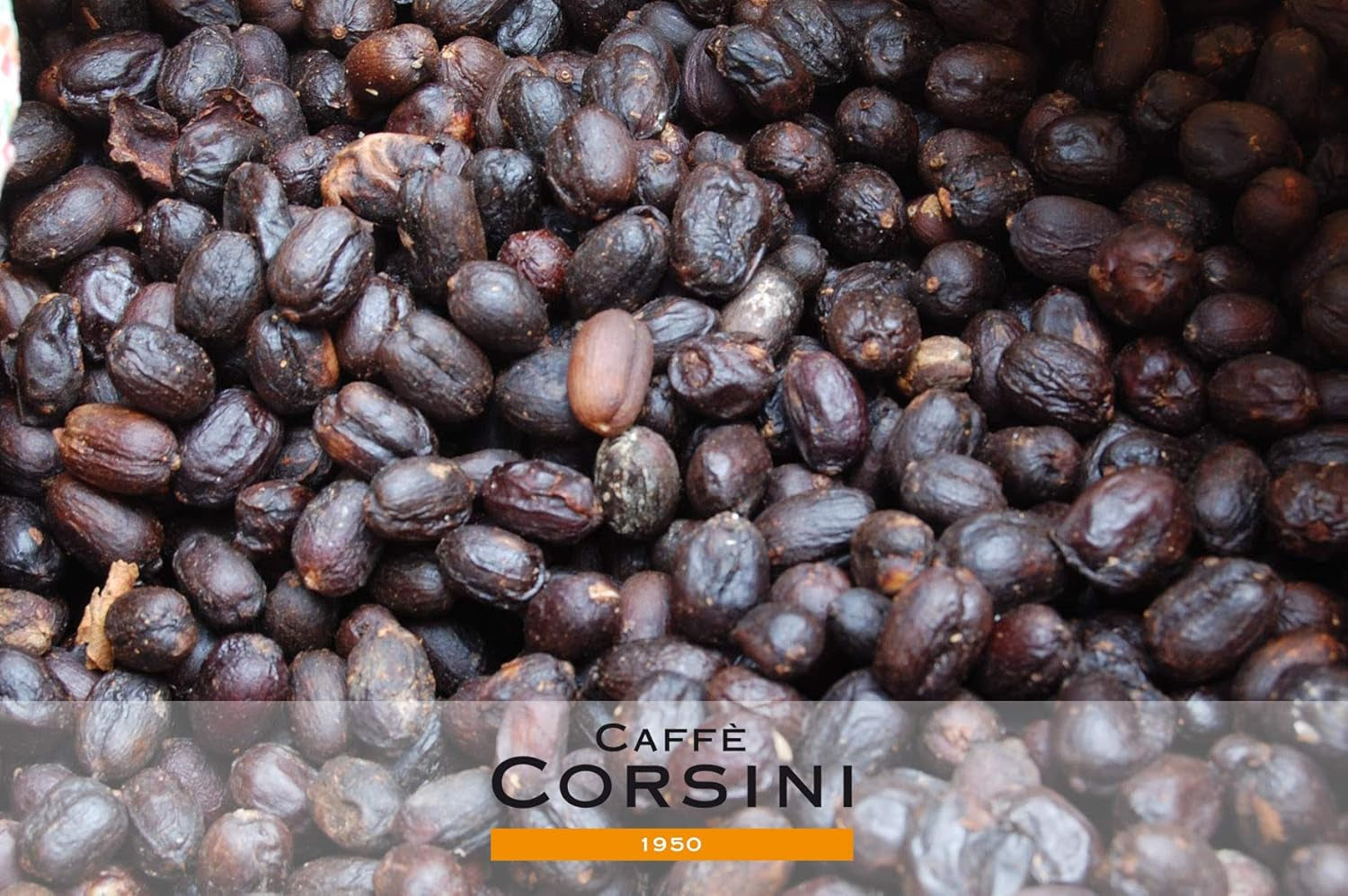 Caffè Corsini - Kaffeebohnen 3x250g Compagnia Dell'Arabica Set Guatemala/Äthiopien/El Salvador, Einzelner Ursprung, total 750g