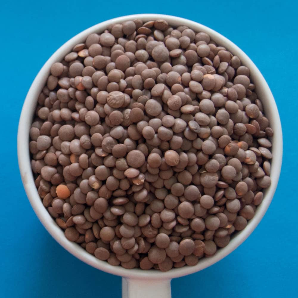 TRS - Lentejas marrones enteras - (1 x 500g)