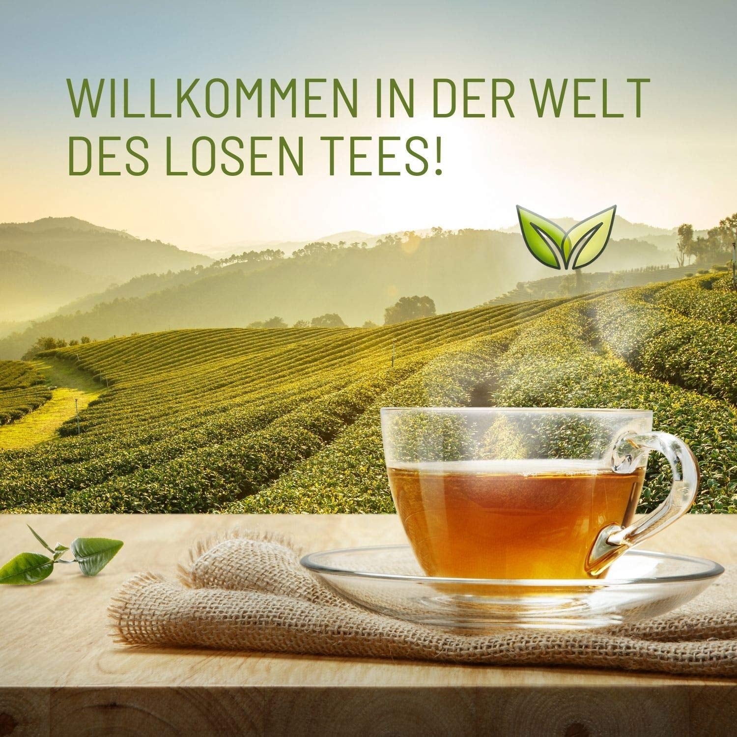 Teeverliebt Té de hierbas de montaña, té de hierbas suelto con hojas de mora, mezcla de té orgánico, 1 kg