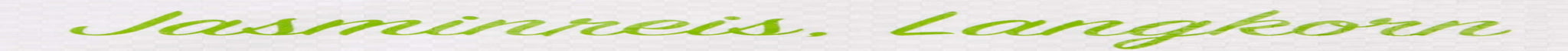 Arroz aromático RICEFIELD, grano largo, 1 paquete (1 x 18 kg)