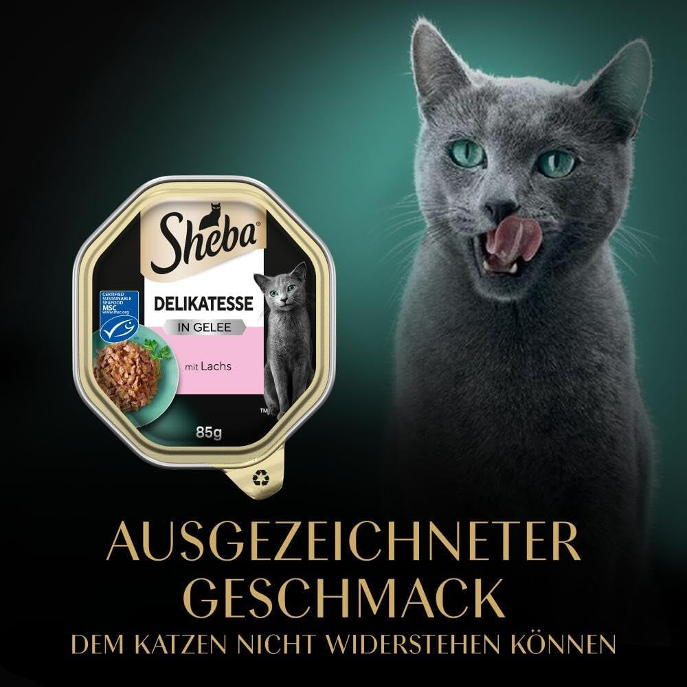 Sheba Comida húmeda para gatos, delicatessen en gelatina de salmón, 2 x 11 x 85 g