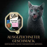 Sheba Comida húmeda para gatos, delicatessen en gelatina de salmón, 2 x 11 x 85 g