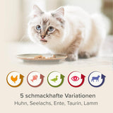BEAPHAR – Paquete Mixto de Dieta Renal – Alimento completo para gatos con insuficiencia renal crónica – Para apoyar la función renal – 6 x 100 g