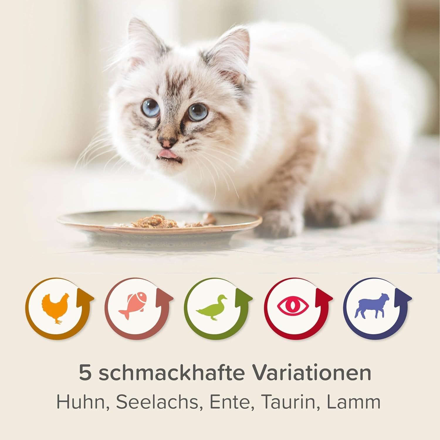 BEAPHAR – Paquete Mixto de Dieta Renal – Alimento completo para gatos con insuficiencia renal crónica – Para apoyar la función renal – 6 x 100 g