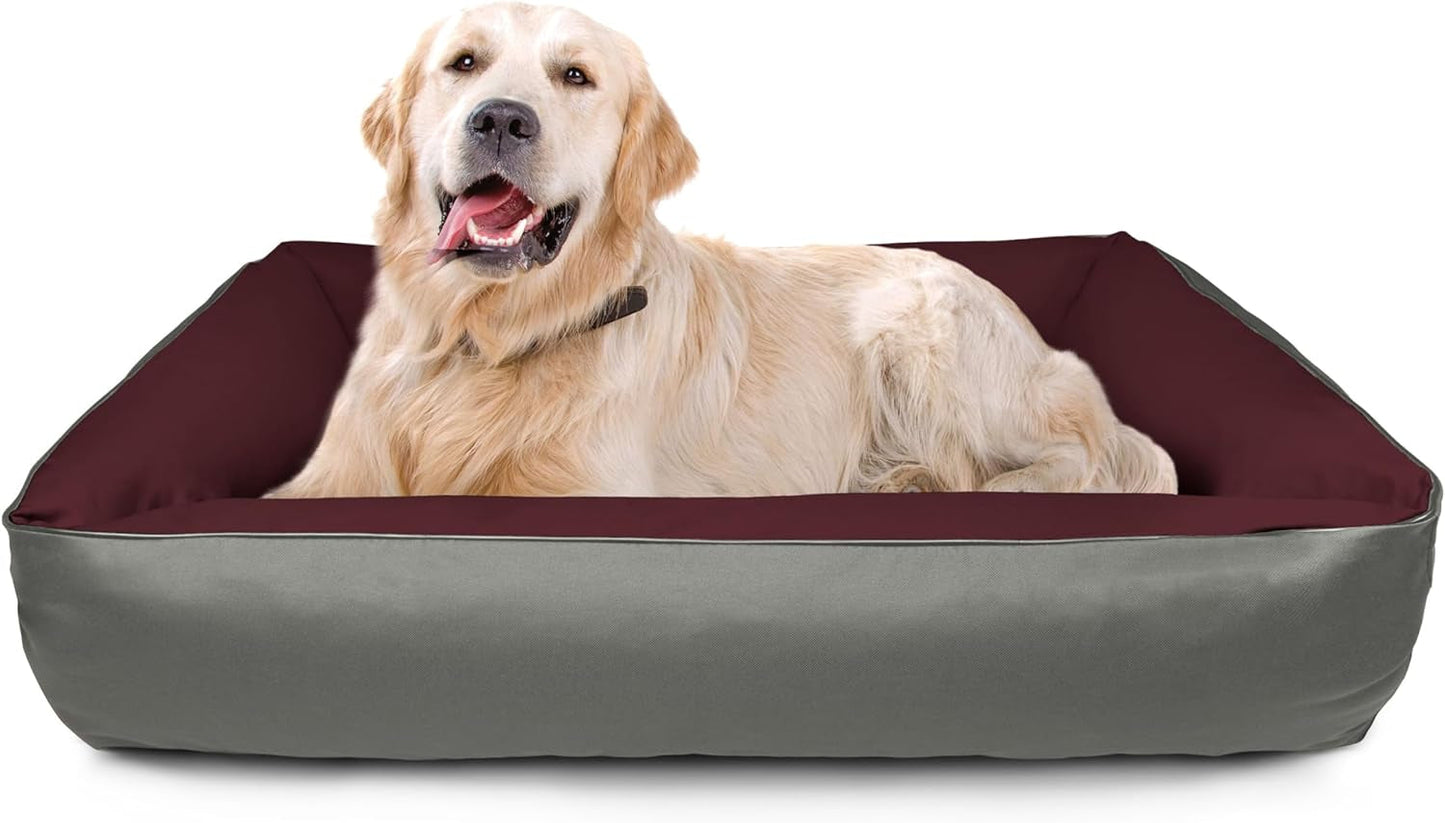Camas, mascotas, perros, lugares para dormir y muebles.