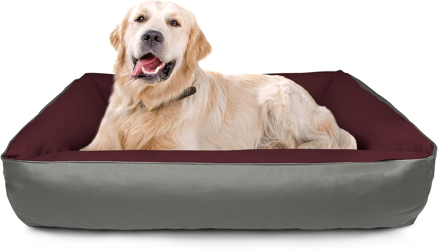 Camas, mascotas, perros, lugares para dormir y muebles.