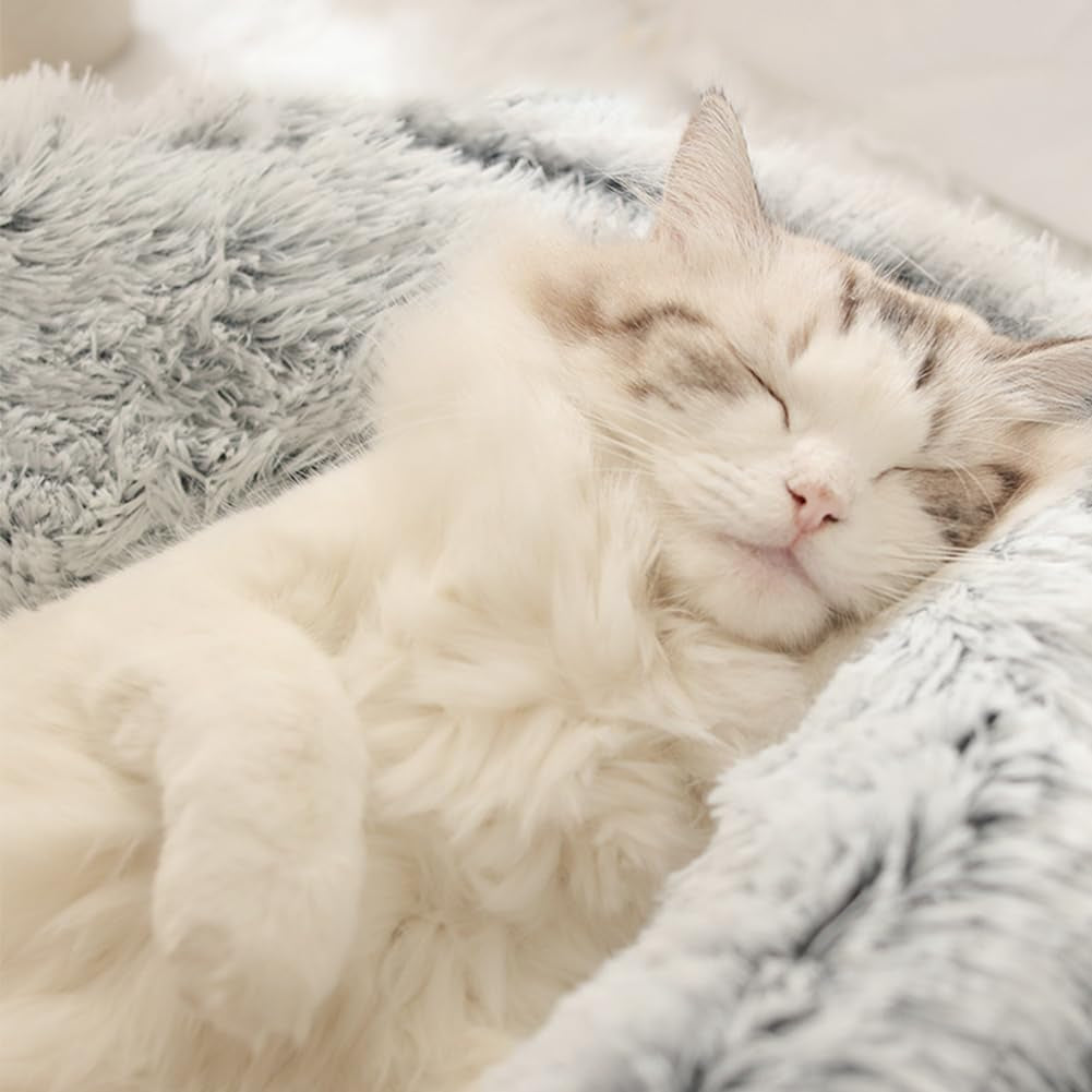 Mantas y Muebles, Mascotas, Casas y Cuevas, Gatos, Camas para gatos, Gatos - camas, colchones