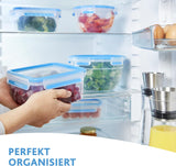 Emsa 515585 Clip y cierre para alimentos | Juego de 3 piezas | plástico | transparente / verde | Cajas de almacenamiento de alimentos Naty Shop de 0,55 / 1 / 2,2 litros