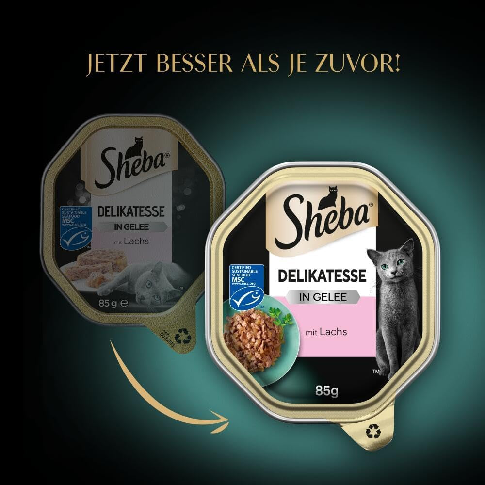 Sheba Comida húmeda para gatos, delicatessen en gelatina de salmón, 2 x 11 x 85 g