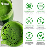 Terapia Matcha 30+ | Té Matcha orgánico en polvo | 60 gramos | Con un contenido comprobado de al menos 30 mg/g de catequina EGCG | Apoya el sistema inmunológico y los niveles de energía | Calidad Ceremonial | Té verde de Japón