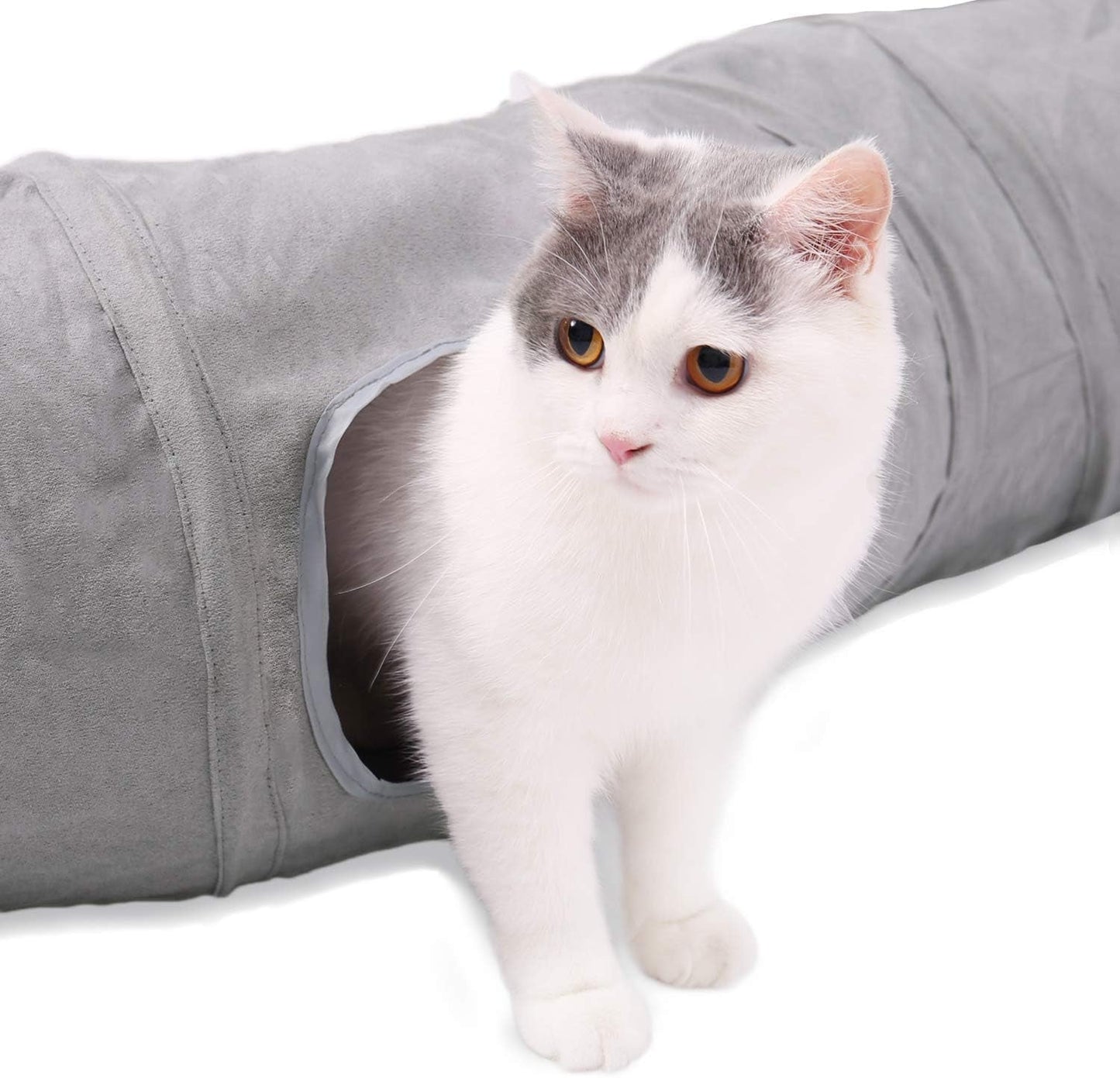 Mascotas, gatos, gatos: camas, colchones, juguetes, túneles.
