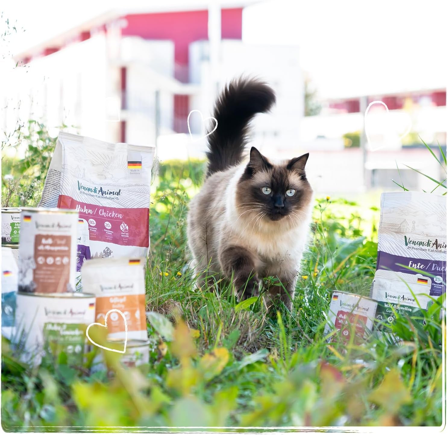 Venandi Animal Premium Nassfutter für Katzen, Probierpaket II, Pollo + Conejo, Kalb, Pavo, 6 x 400 g, getreidefrei und naturbelassen, 2,4 kg