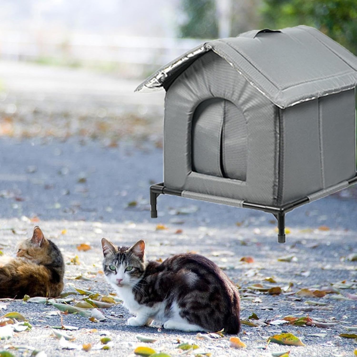 Mantas y Muebles, Mascotas, Casas y Cuevas, Gatos, Camas para gatos, Gatos - camas, colchones