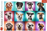 Trefl TR27119 Retratos Divertidos De Perros II 2000 Piezas, Calidad Premium, Para Adultos Y Niños A Partir De 12 Años Puzzle, Puzzle De Colores Naty Shop