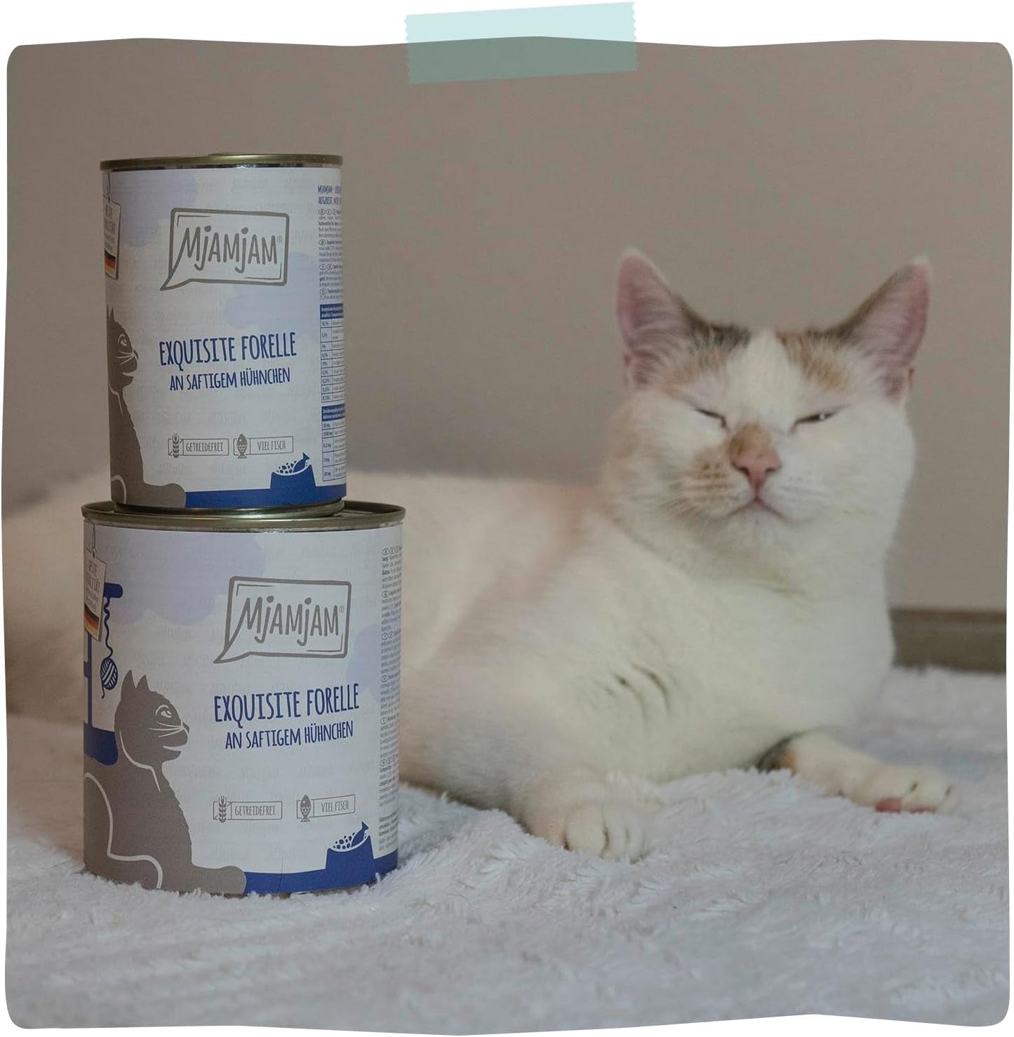 MjAMjAM - Comida húmeda premium para gatos - Trucha refinada con pollo jugoso, paquete de 6 (6 x 400 g), sin cereales