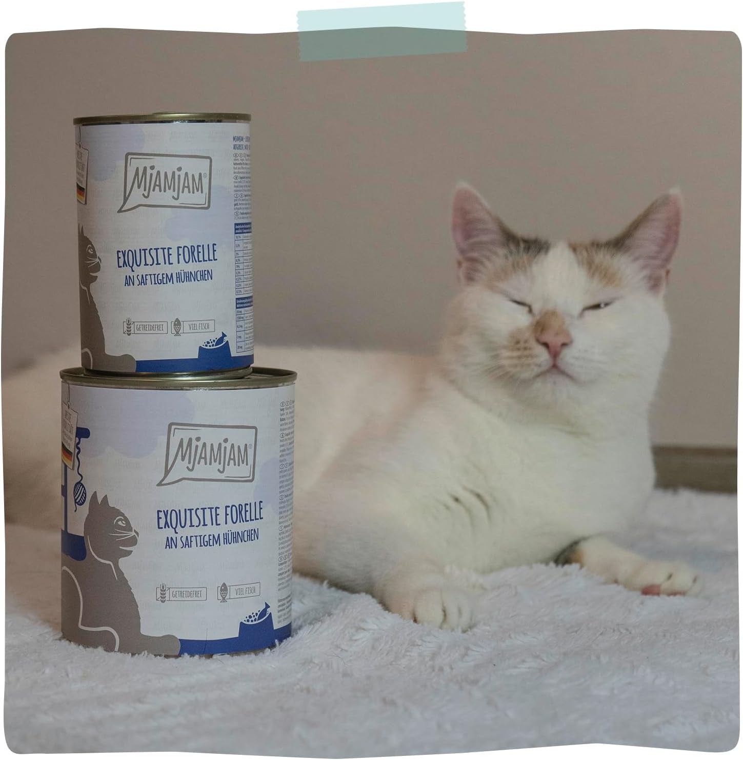 MjAMjAM - Comida húmeda premium para gatos - Trucha refinada con pollo jugoso, paquete de 6 (6 x 400 g), sin cereales